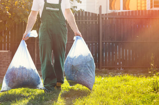 Debris Removal in Leavittsburg, OH